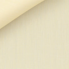 Load image into Gallery viewer, Silver End on End 100/2 (III) fabric by Thomas Mason Bespoke**