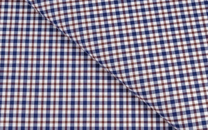ANDRE Mini Check Shirt in Caccioppoli cloth